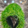 چمن مصنوعی پاییزه - Image 2